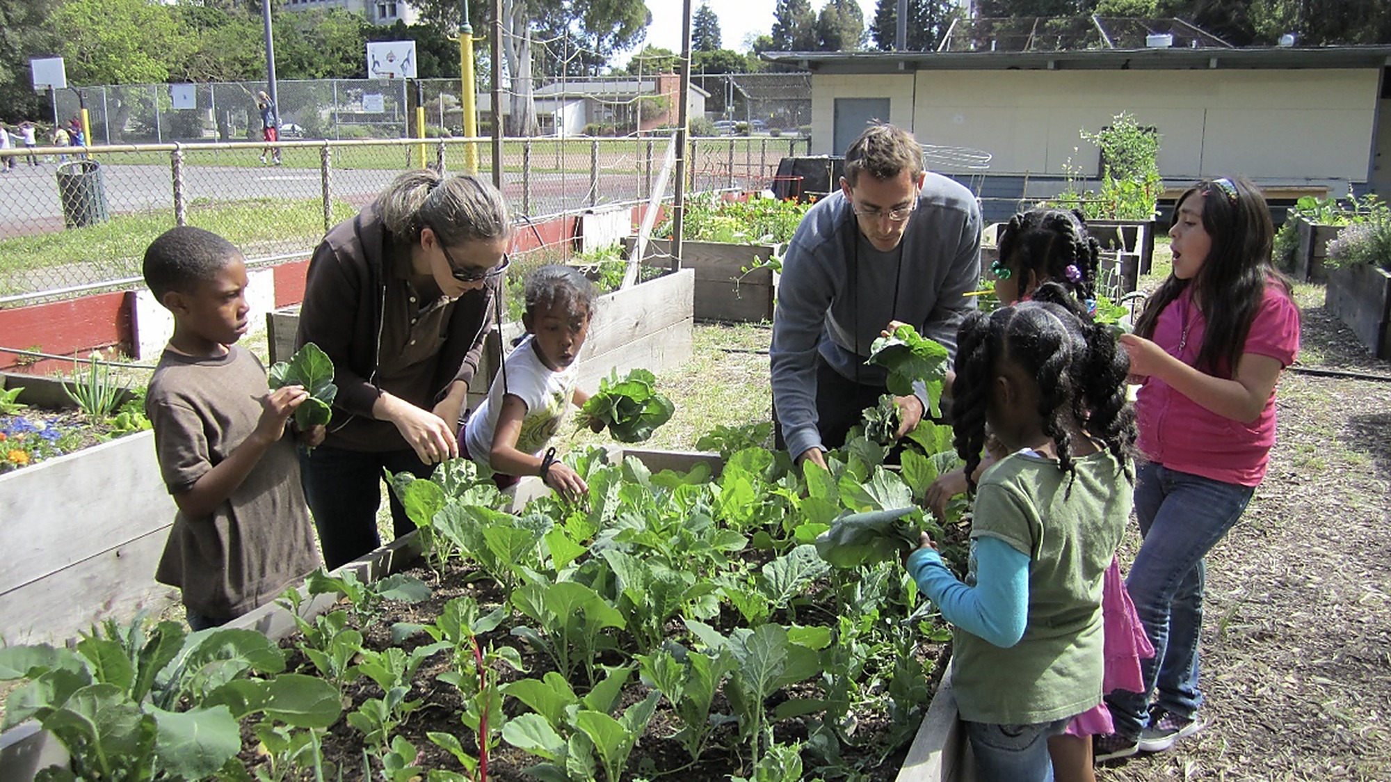 Students exploring and learning outdoors on a KIC Excursion